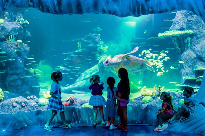 Kids at the Sea Life Aquarium Sydney